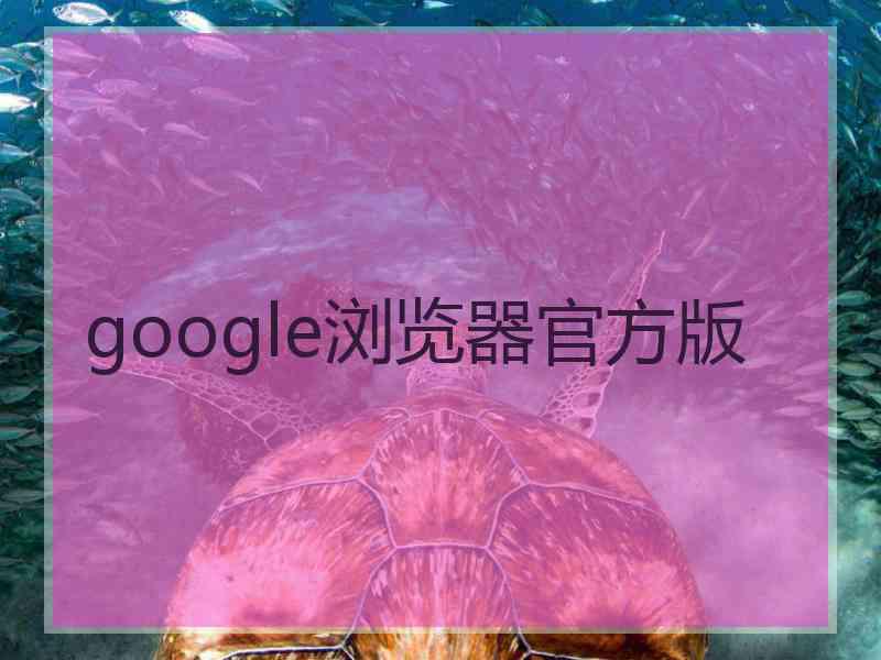 google浏览器官方版