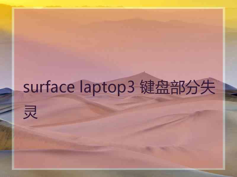 surface laptop3 键盘部分失灵