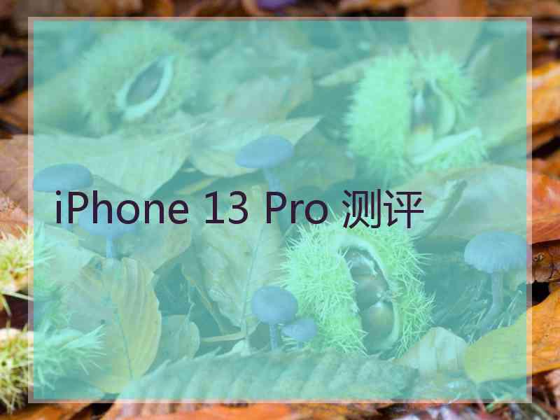 iPhone 13 Pro 测评