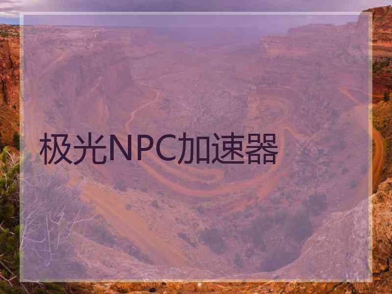 极光NPC加速器