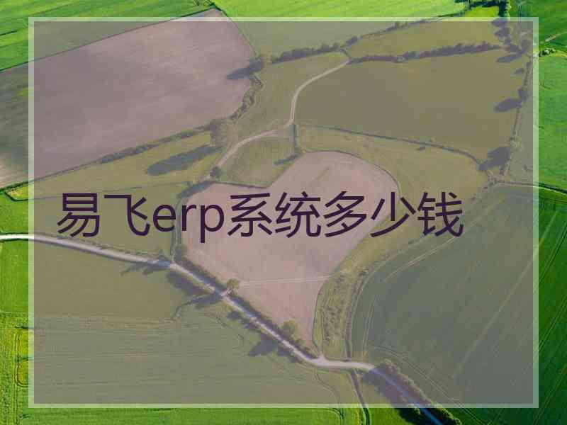 易飞erp系统多少钱