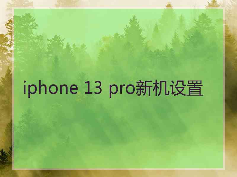 iphone 13 pro新机设置