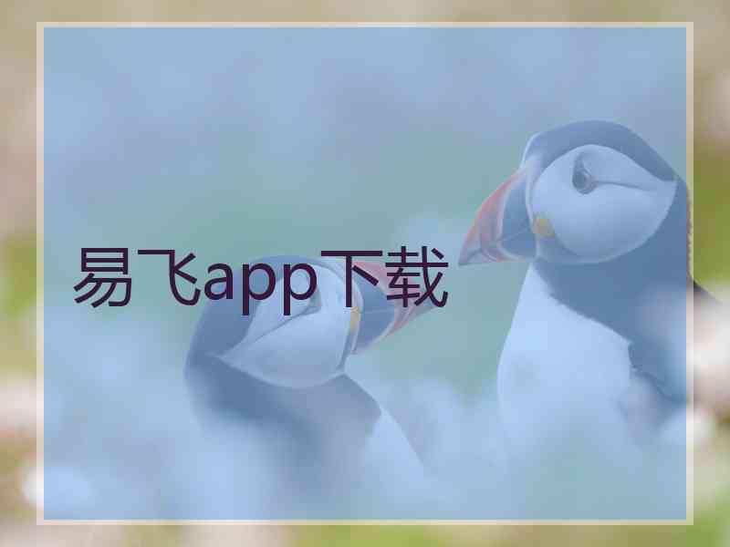 易飞app下载