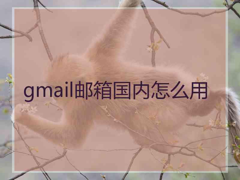 gmail邮箱国内怎么用