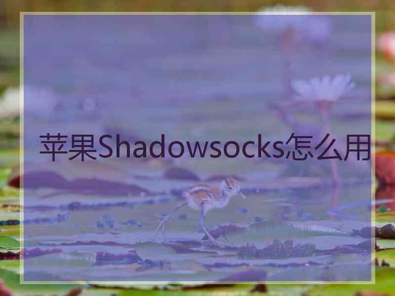 苹果Shadowsocks怎么用