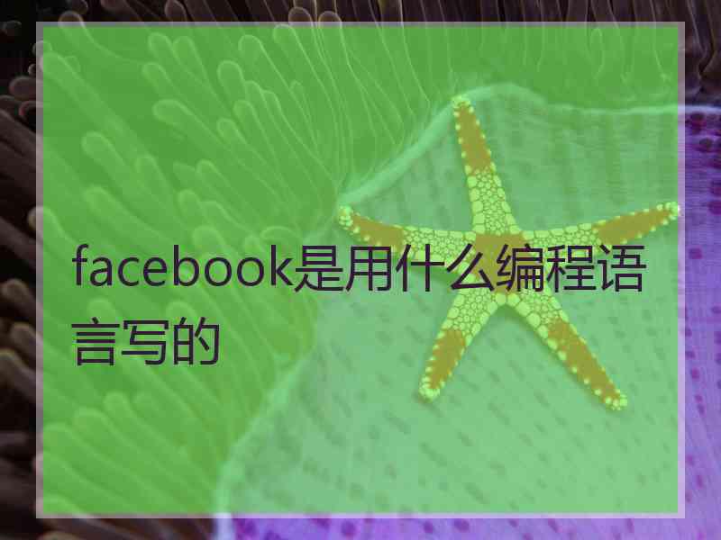 facebook是用什么编程语言写的