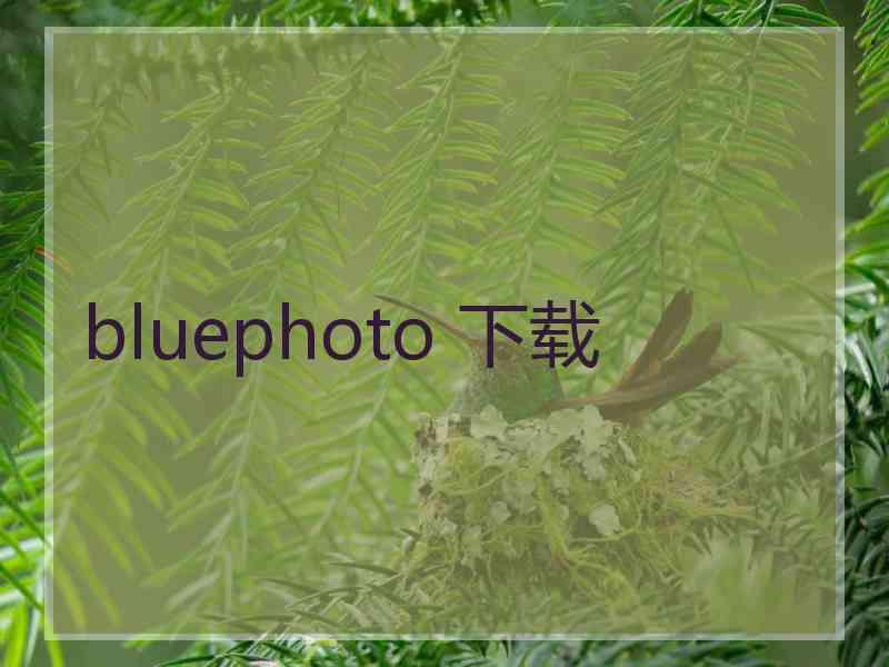 bluephoto 下载