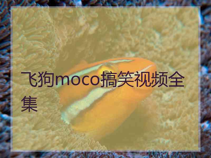 飞狗moco搞笑视频全集