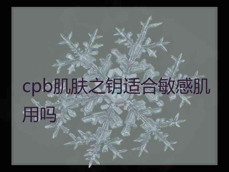 cpb肌肤之钥适合敏感肌用吗