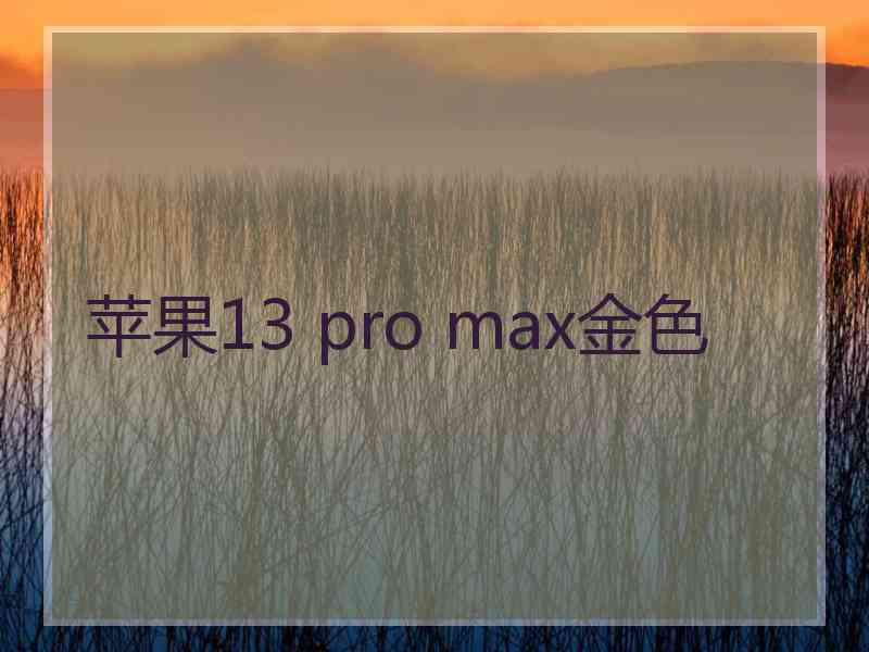 苹果13 pro max金色