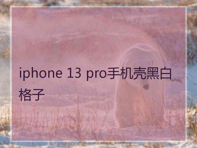 iphone 13 pro手机壳黑白格子