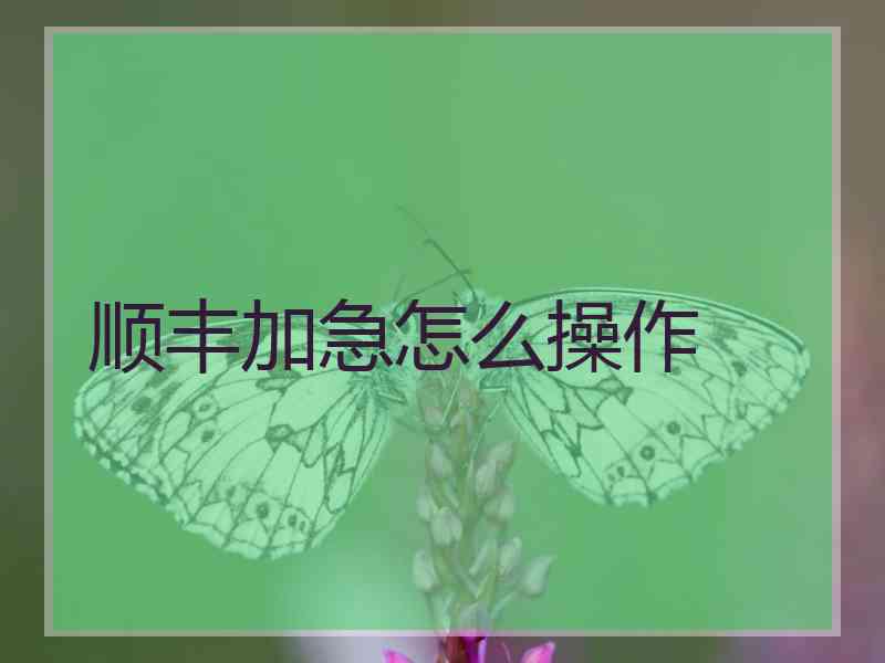 顺丰加急怎么操作