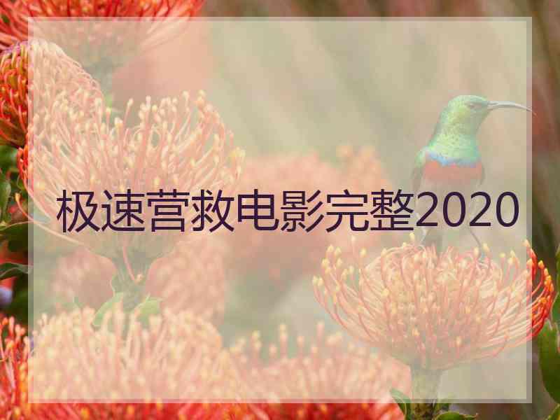 极速营救电影完整2020