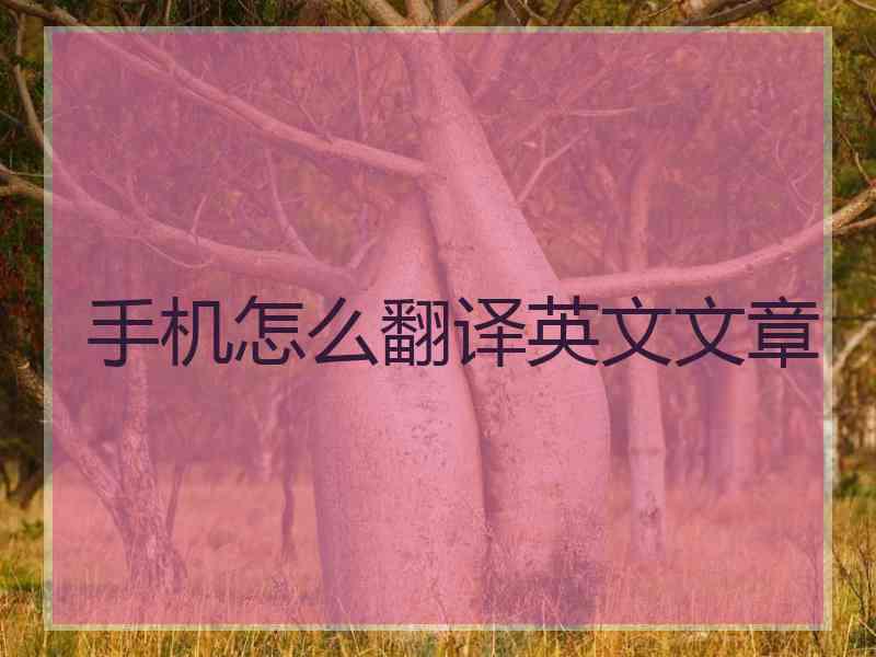 手机怎么翻译英文文章