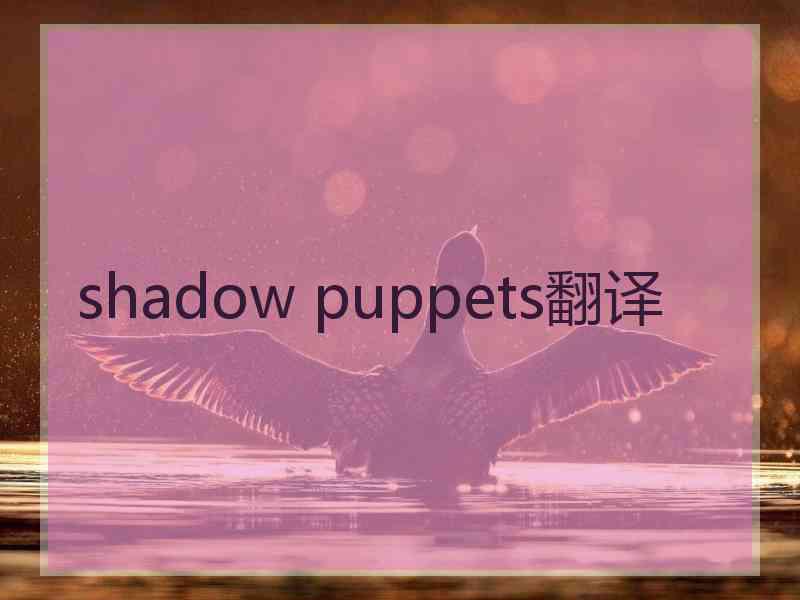 shadow puppets翻译