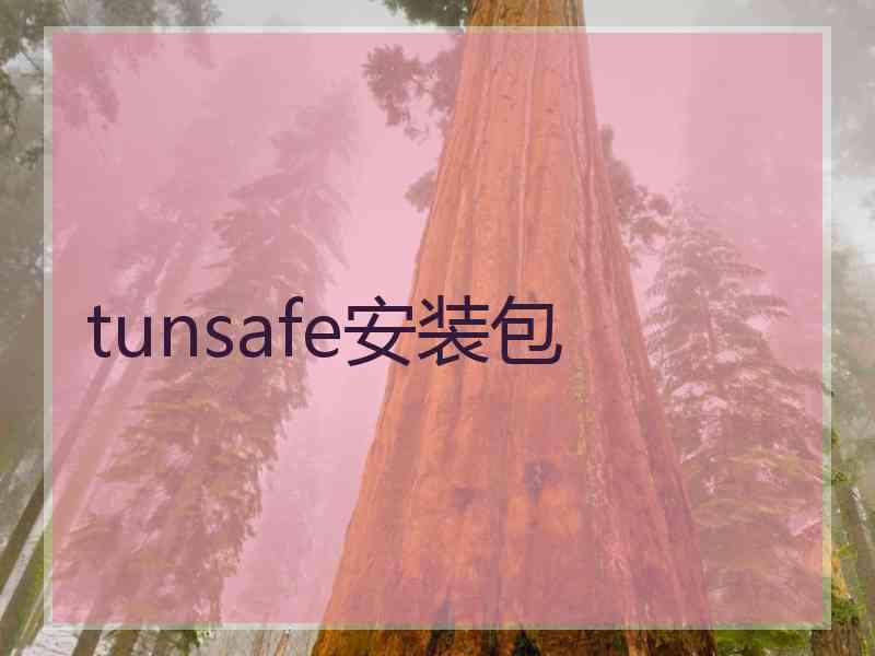 tunsafe安装包