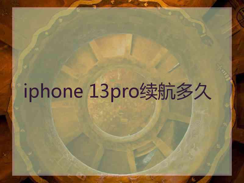 iphone 13pro续航多久