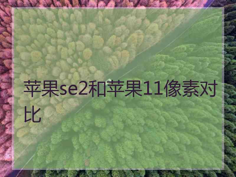 苹果se2和苹果11像素对比