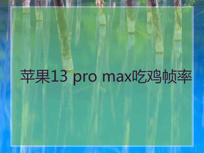 苹果13 pro max吃鸡帧率