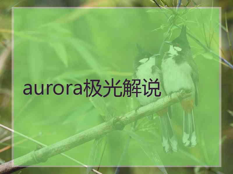 aurora极光解说