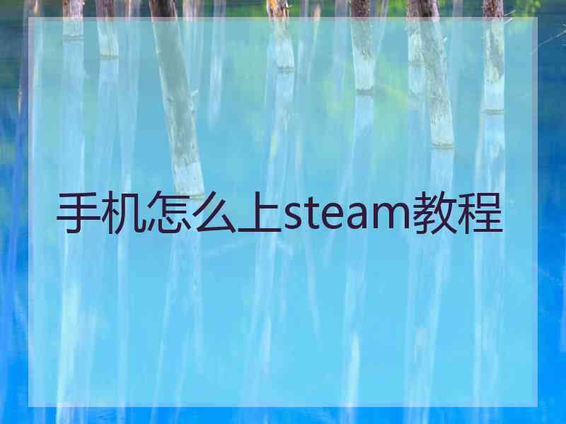 手机怎么上steam教程