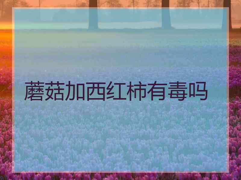 蘑菇加西红柿有毒吗