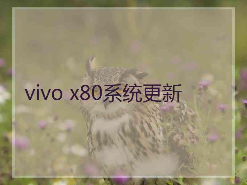 vivo x80系统更新