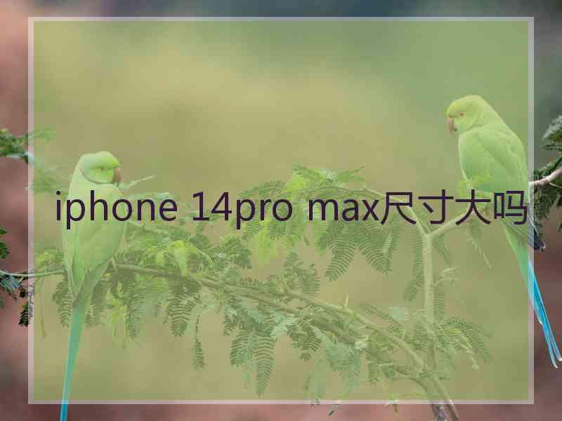 iphone 14pro max尺寸大吗