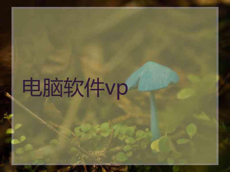 电脑软件vp