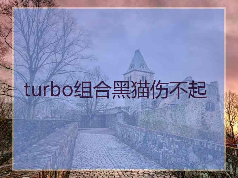 turbo组合黑猫伤不起