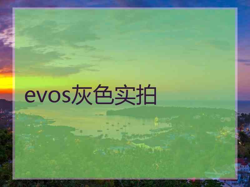 evos灰色实拍