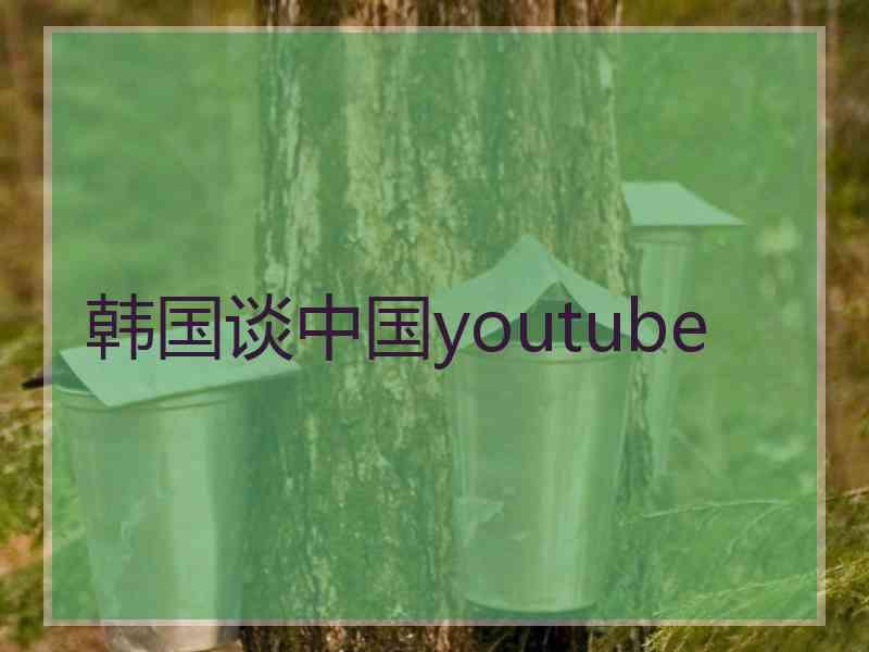 韩国谈中国youtube