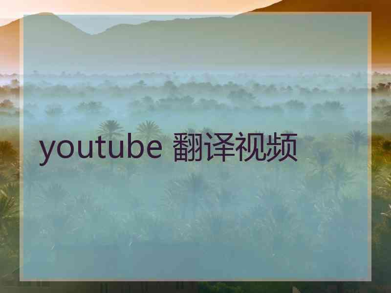 youtube 翻译视频