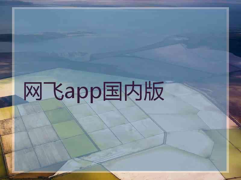 网飞app国内版