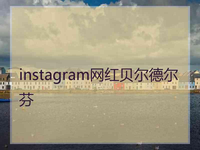 instagram网红贝尔德尔芬