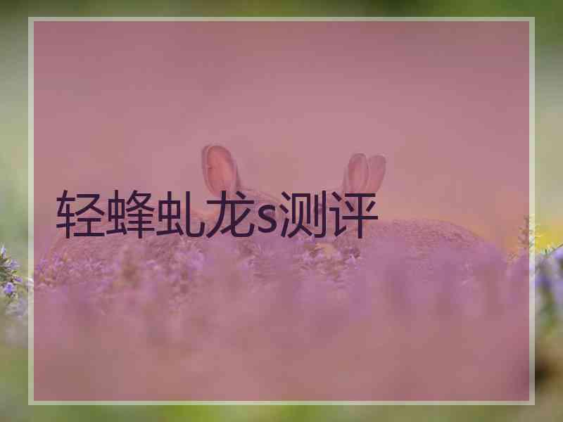 轻蜂虬龙s测评