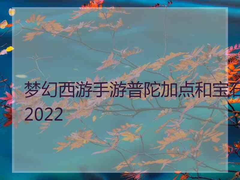 梦幻西游手游普陀加点和宝石2022