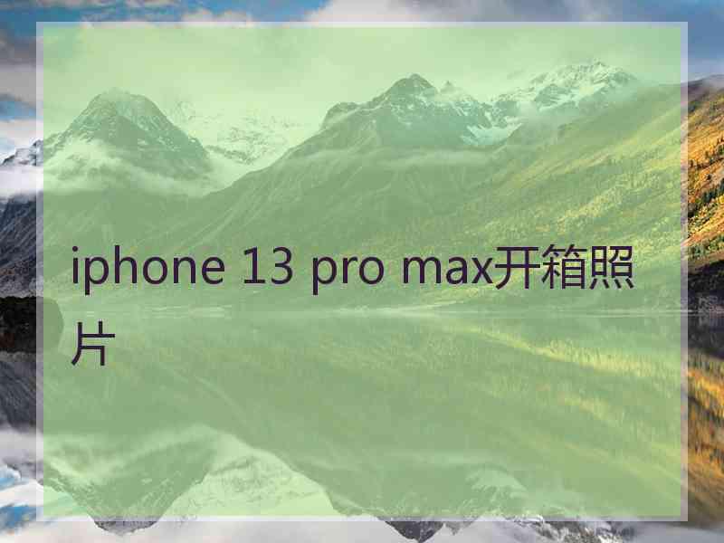 iphone 13 pro max开箱照片