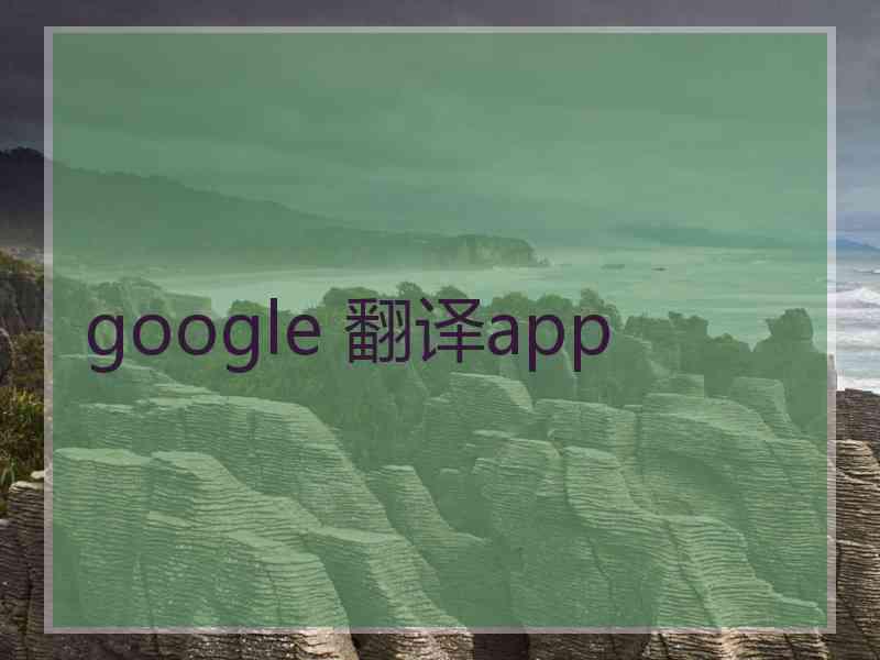 google 翻译app