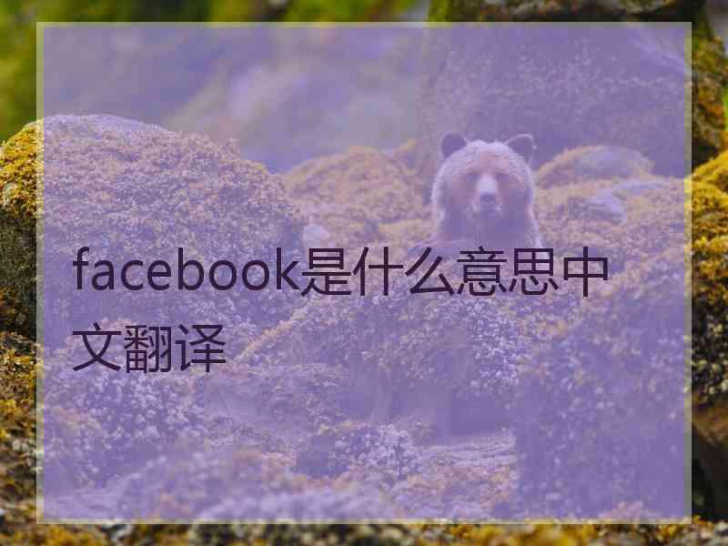 facebook是什么意思中文翻译