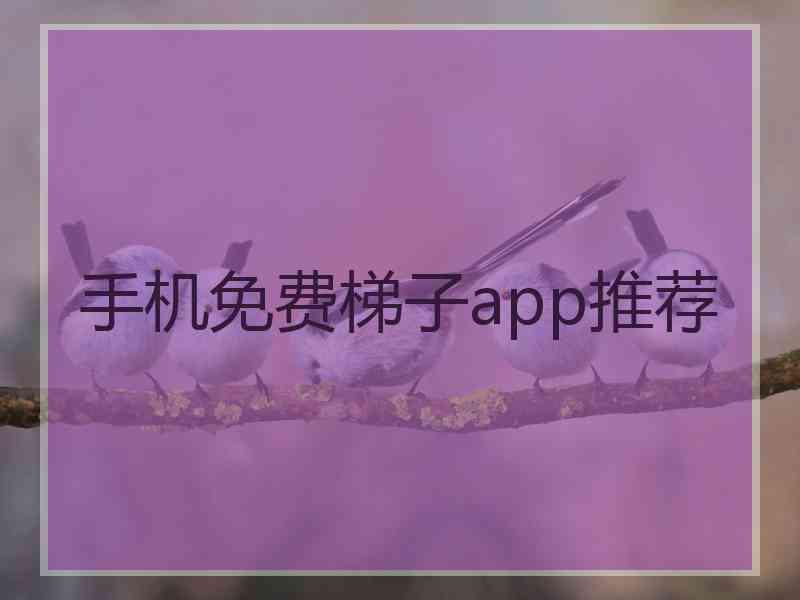 手机免费梯子app推荐