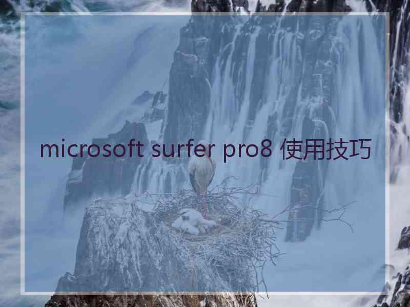 microsoft surfer pro8 使用技巧