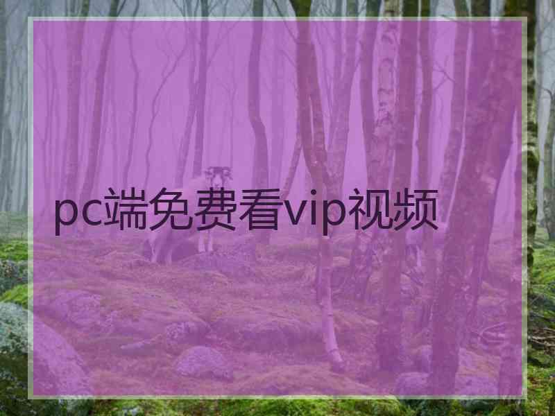 pc端免费看vip视频