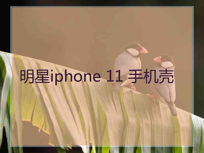 明星iphone 11 手机壳