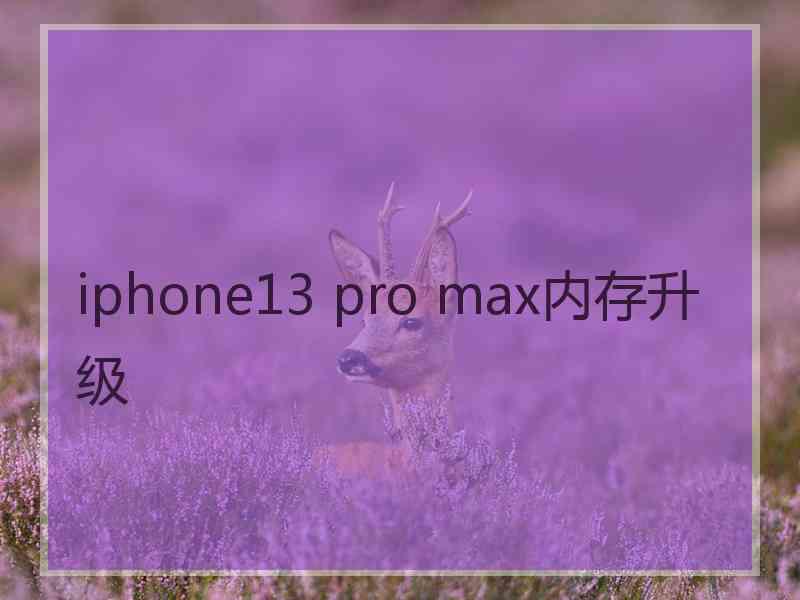 iphone13 pro max内存升级