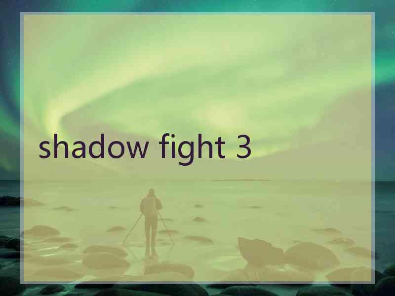 shadow fight 3