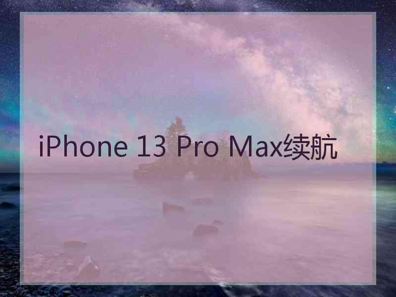 iPhone 13 Pro Max续航