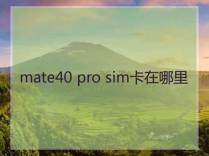 mate40 pro sim卡在哪里