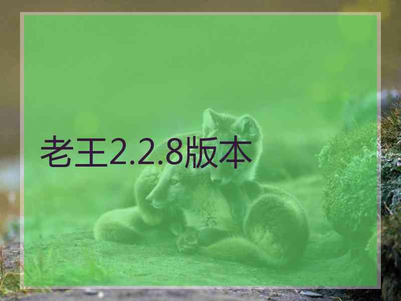 老王2.2.8版本