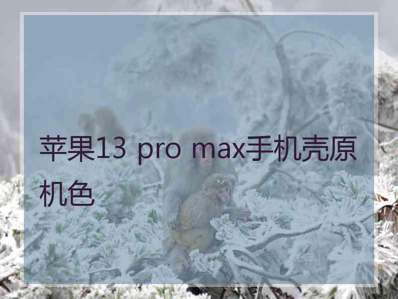 苹果13 pro max手机壳原机色